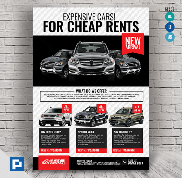 Car Rental and Dealership Flyer