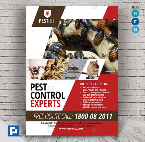 Pest and Insect Control Services Flyer