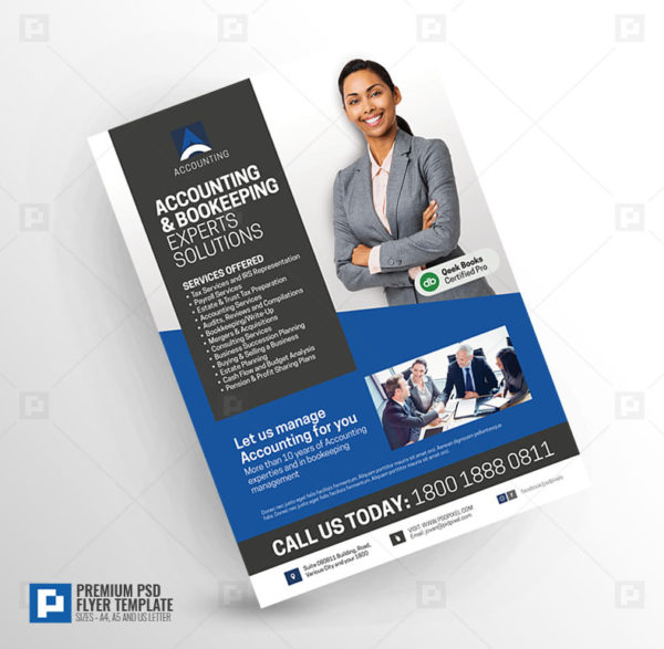 Accounting Company Services Flyer