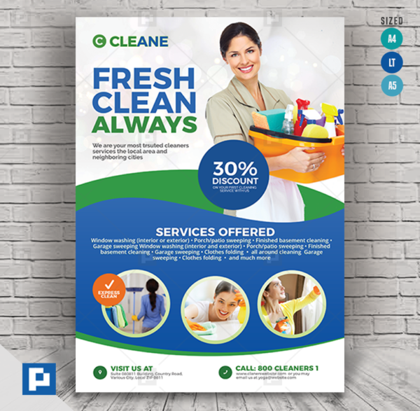 House Cleaning Specialist Flyer