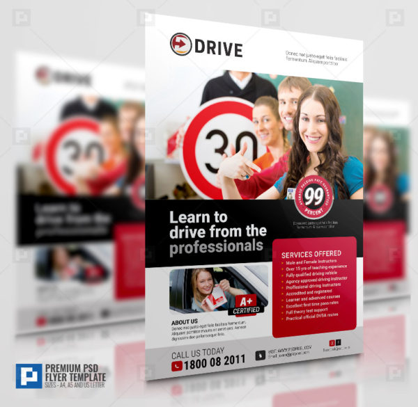 Driving lesson Services Flyer