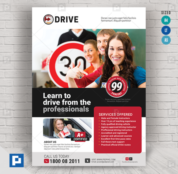 Driving lesson Services Flyer