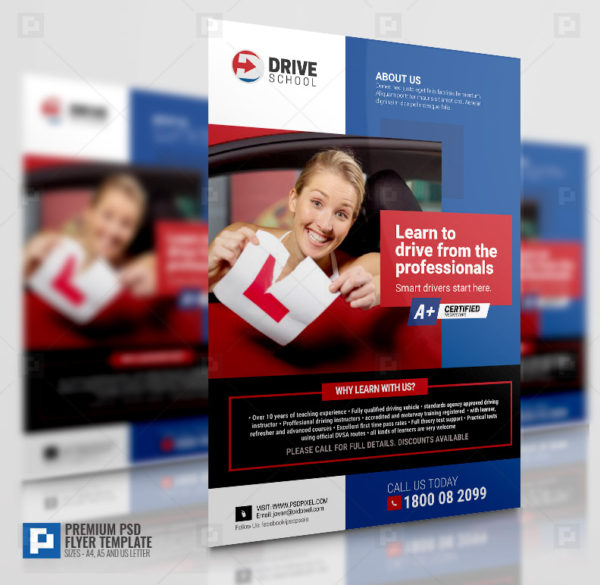 Professional driving instructors Flyer