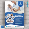 Pet Care and Clinic Flyer