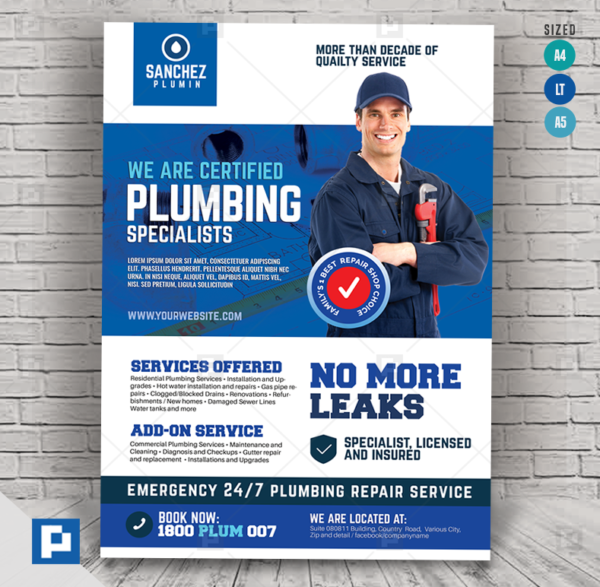 Plumbing Company Promotional Flyer