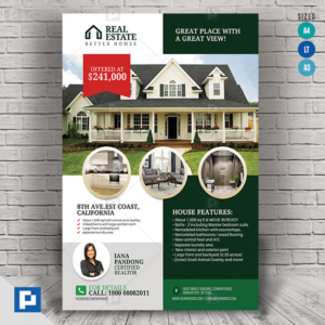 Real Estate Company Flyer,.