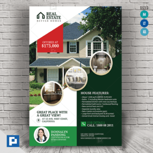 Real Estate Promotional Flyer