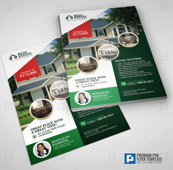 Real Estate Promotional Flyer