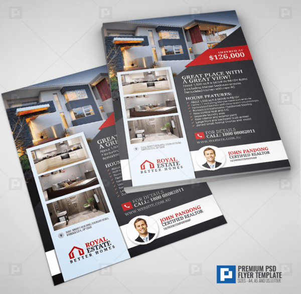 Real Estate Promotional Listing Flyer